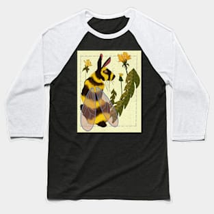 Bee Hare Baseball T-Shirt